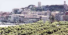 CANNES-DO