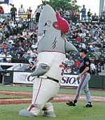 A ferry big series for Cyclones