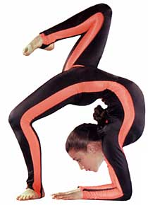 LIMBER ARTS