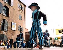 BIG TOP BIGWIG