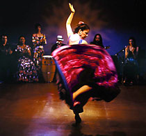 FIERY FLAMENCO