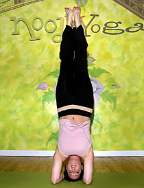FREE YOGA