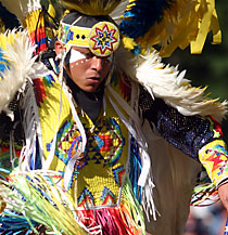 GOING NATIVE