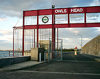 Dueling noses: Vinnie and Vito go at it over Owls Head