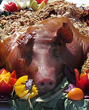 Pig out