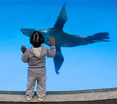 Coney Aquarium makes noise at 50