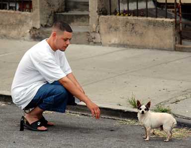 In Bushwick, life isn’t for the dogs