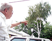 Neighbors demand arborcide