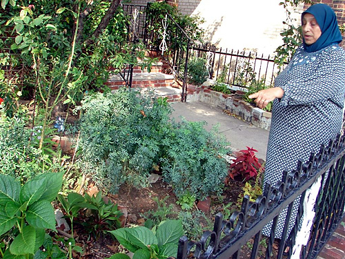 Garden snakes
