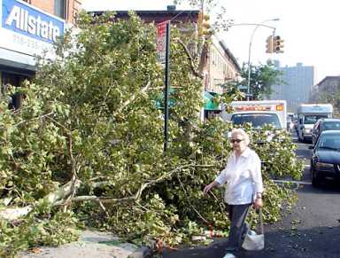 Bush frees tornado relief funds