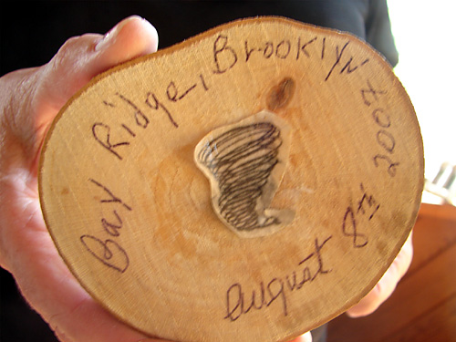 Life in the tornado zone