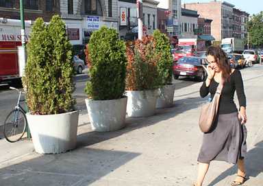 City set to prune back Union Street planters