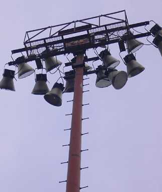 Hawk moves into Greenpoint