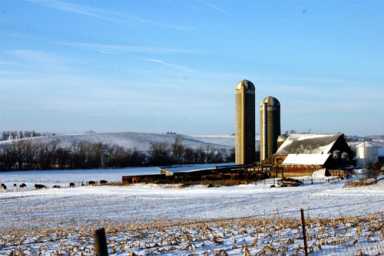 Brooklyn votes: At Iowa caucus, our sister city backs Edwards and Huckabee
