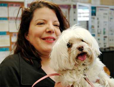 Bark back! Stolen dog returned to owner