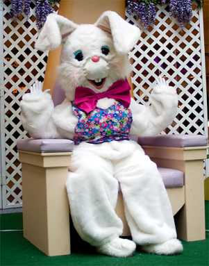 Hare today — and tomorrow?