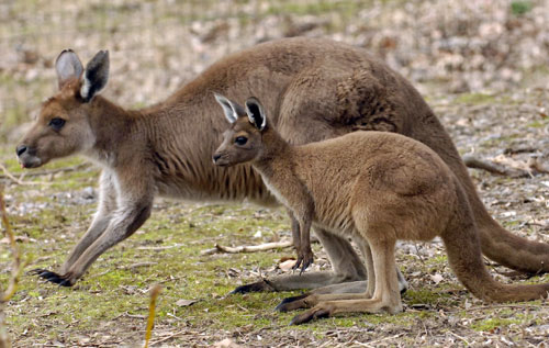 Circle of life (and death)