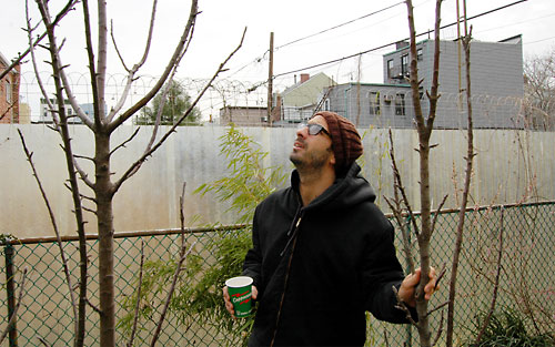 Bananas? In Brooklyn?