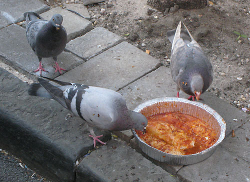 Get that bird a napkin!