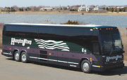 Visit the Hamptons