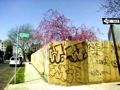 Spring has sprung… graffiti, too