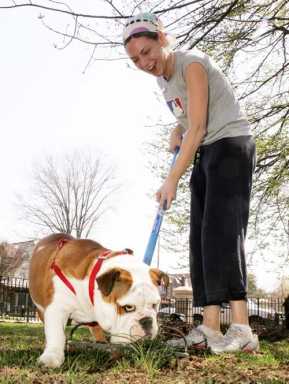 Man and mutts team up for grime-busting duties