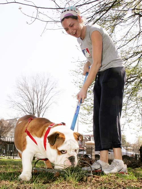 Man and mutts team up for grime-busting duties