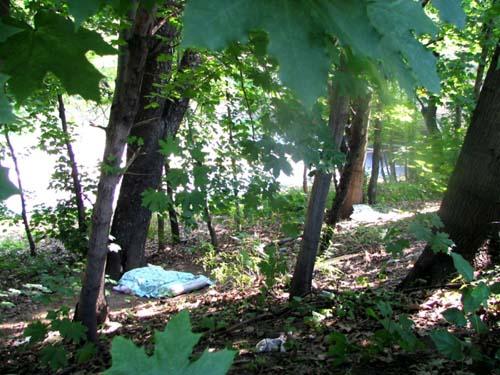 New rail yard fencing – Community welcomes better security around site