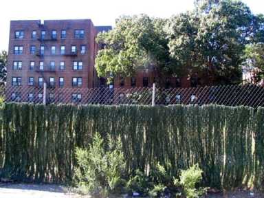 Deluxe station house in the sky – Efforts to construct new 70th Police Precinct inch forward