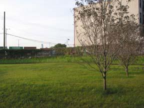 A new patch of nabe green – New community garden for Columbia Street Waterfront District