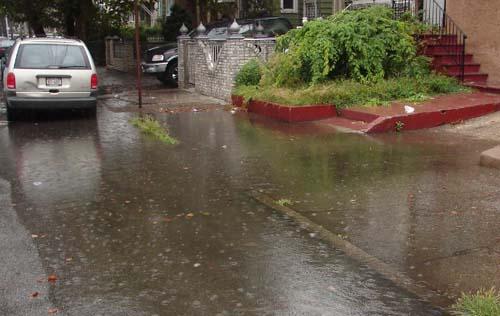 Drowning in a puddle of woe – Clarendon Road residents are awash after heavy rain