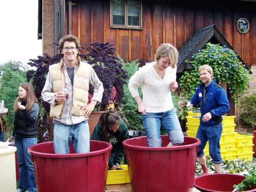 Viva vino: Hop aboard the Little Wine Bus with pals