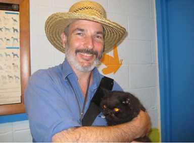 Trapped cat drives man to psych ward