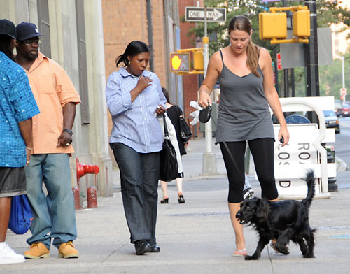 Downtown goes to the dogs