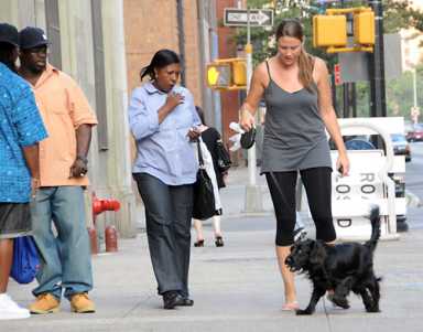 Downtown goes to the dogs