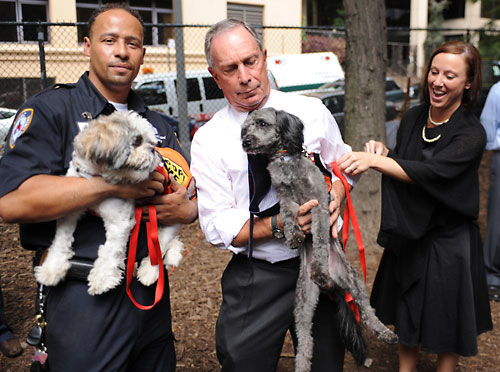 Dog day in Brooklyn Heights