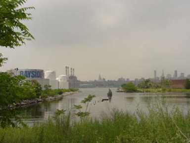 Shot down again – TransGas rehearing denied