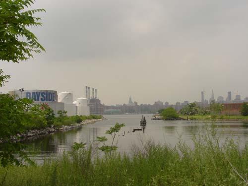 Shot down again – TransGas rehearing denied