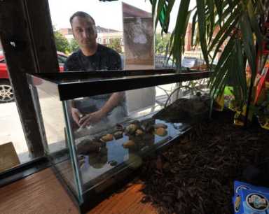 Double trouble: 2-headed turtle stolen – Pet shop owner’s mutant reptile swiped from store; locals raise $1,000 for its recovery