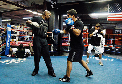 White collars want golden glove green light