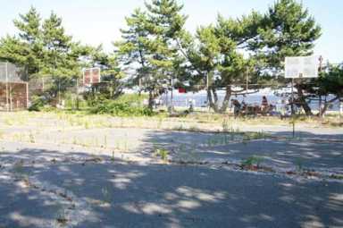 300K enough to fix courts, Parks sez