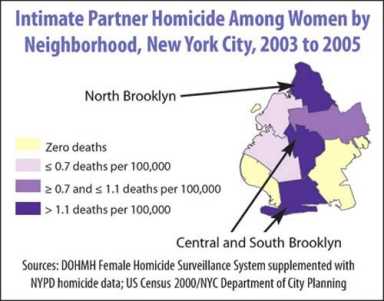Murder in Brooklyn homes – Partners responsible for almost half of women killed