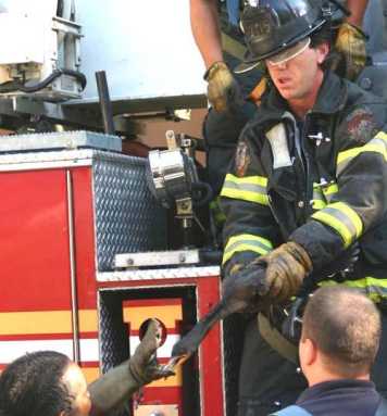 Bird brought back from the brink – Firefighters rescue tangled fowl