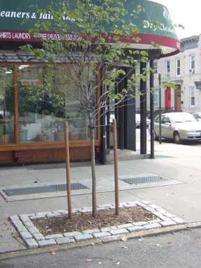 Seeds of a lasting memorial – Friends move to honor the life of slain 10th Avenue merchant