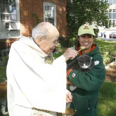 Pets step up for blessings – Owners hope for divine help