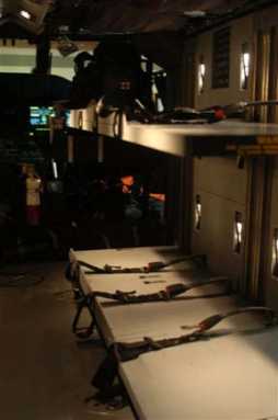 This hawk has a medical mission