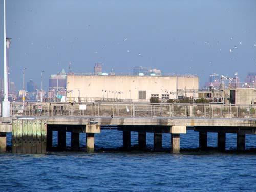 Many give a hoot about stinky Owls Head plant – Persistent odors cause slew of complaints