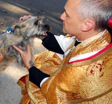 St. Paul’s church opens doors to neighborhood pets