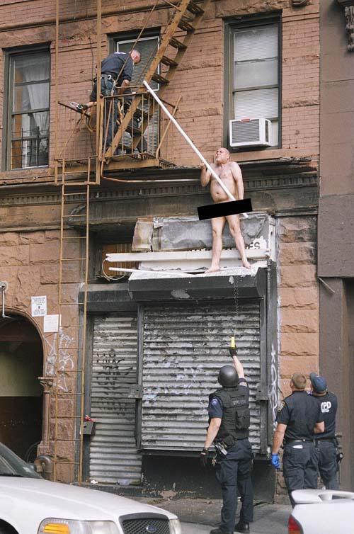 Crisis team now – Senator wants NYPD changes