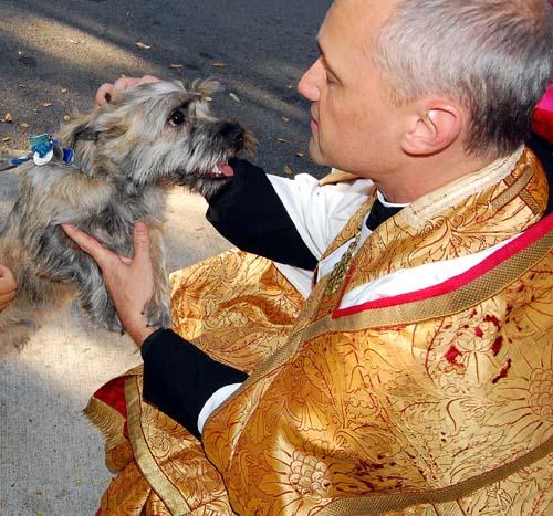 Divine critter